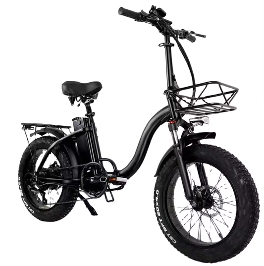 Fatbike S600L