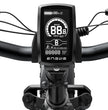 ENGWE EP-2 PRO 250W E-BIKE