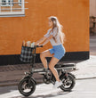 ENGWE T14 E-BIKE