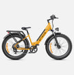 ENGWE E26 E-BIKE