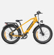 ENGWE E26 E-BIKE