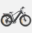 ENGWE E26 E-BIKE