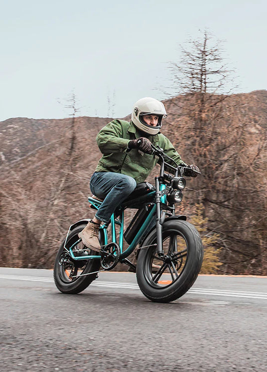 ENGWE M20 E-BIKE