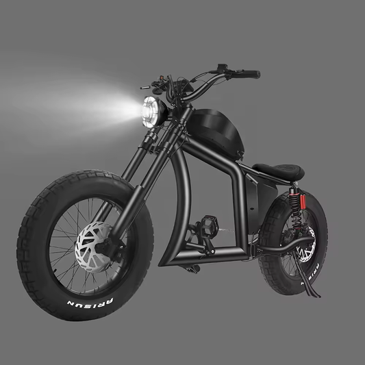 Fatbike FT-02