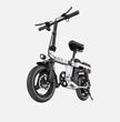 ENGWE T14 E-BIKE