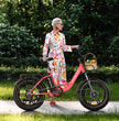 ENGWE L20 E-BIKE